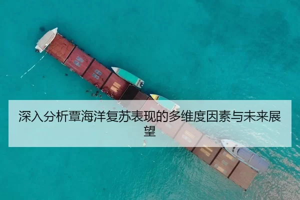 深入分析覃海洋复苏表现的多维度因素与未来展望
